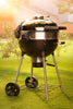 Napoleon Professional 22 Charcoal Kettle Grill