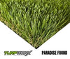 Paradise Found by TURFWORX