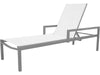 Fusion Chaise w Arms