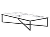 Iconic Large Rectangle Coffee Table