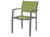 Fusion Dining Arm Chair