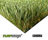Cambria by TURFWORX