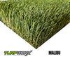 Malibu by TURFWORX