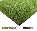 Perfect Rye by TURFWORX